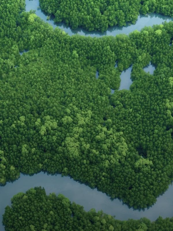Waterplan