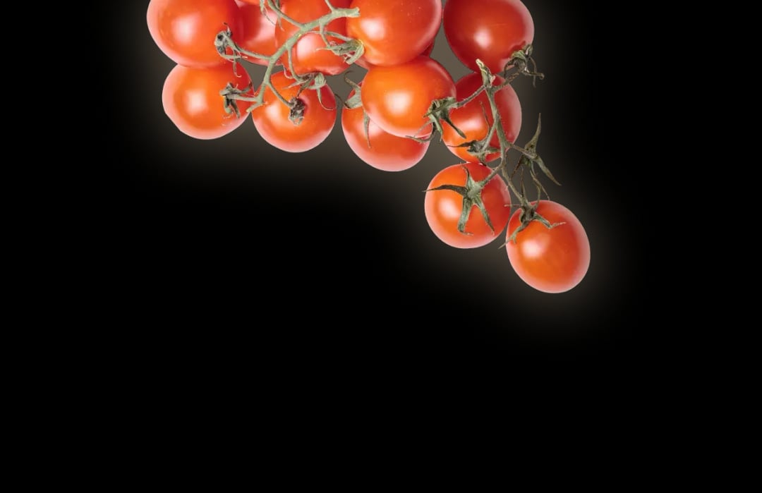 Tomatoes
